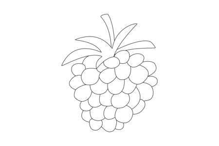 Coloriage Framboise 01 – 10doigts.fr